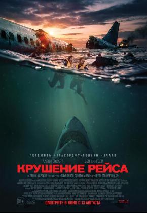 КРУШЕНИЕ РЕЙСА (2D)